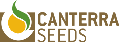 canterra seeds logo